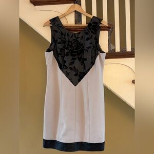 Tracy Reese Beige and Black Dress 12